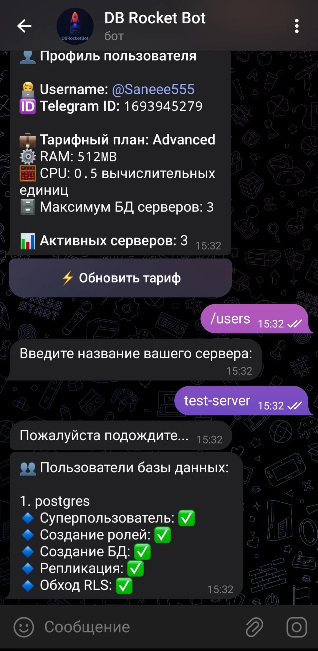 DB Rocket Bot — скриншот чата 2